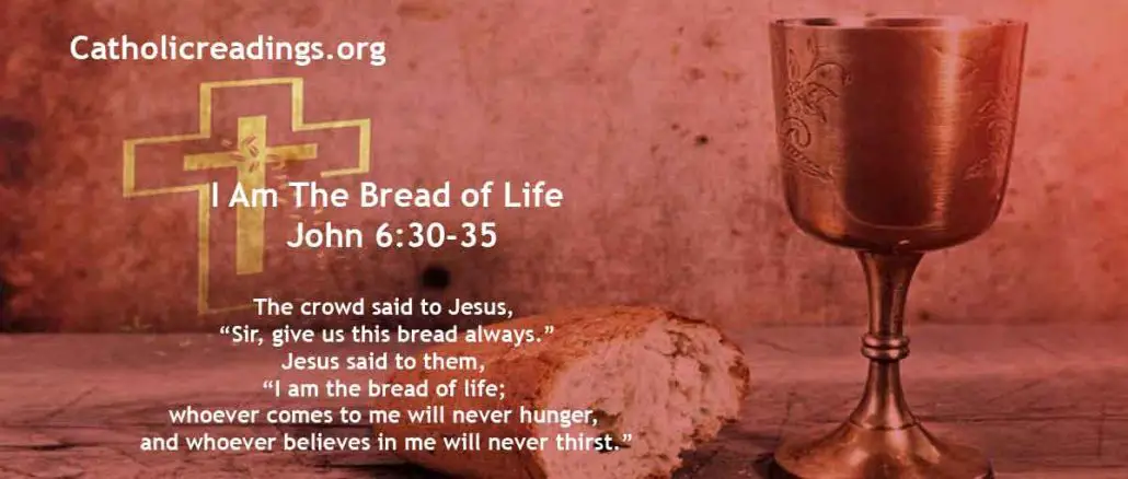 I Am The Bread of Life; Whoever Comes To Me Will Never Hunger - John 6:30-35 - Bible Verse of the Day