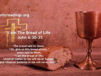 I Am The Bread of Life; Whoever Comes To Me Will Never Hunger - John 6:30-35 - Bible Verse of the Day