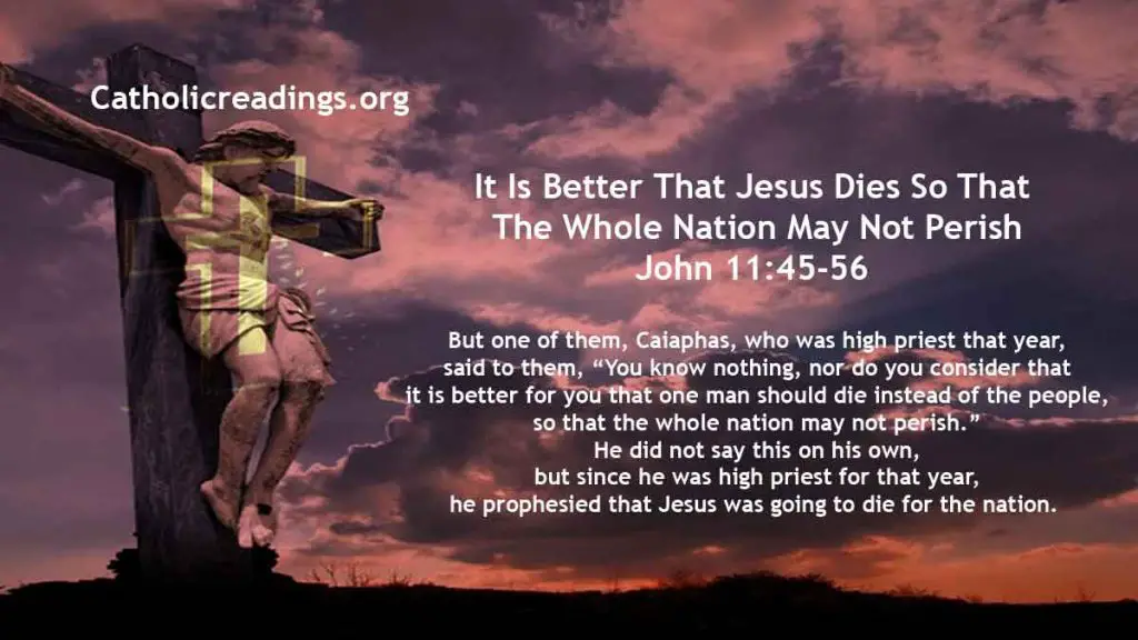 It Is Better That Jesus Dies So That The Whole Nation May Not Perish - John 11:45-56 - Bible Verse of the Day