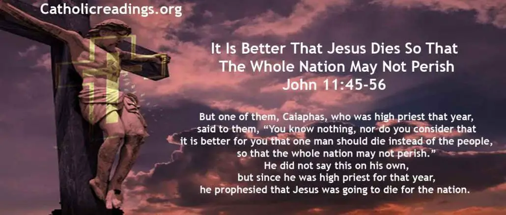 It Is Better That Jesus Dies So That The Whole Nation May Not Perish - John 11:45-56 - Bible Verse of the Day