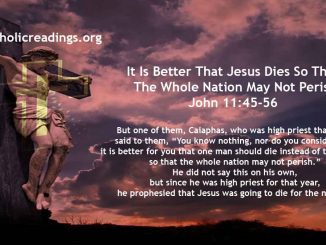 It Is Better That Jesus Dies So That The Whole Nation May Not Perish - John 11:45-56 - Bible Verse of the Day
