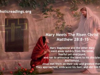 Mary Magdalene and The Other Mary Meets The Risen Christ - Matthew 28:8-15 - Bible Verse of the Day