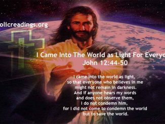 I Came Into The World as Light For Everyone - John 12:44-50 - Bible Verse of the Day