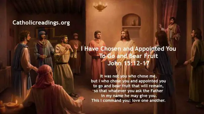 I Have Chosen and Appointed You To Go and Bear Fruit - John 15:12-17 - Bible Verse of the Day