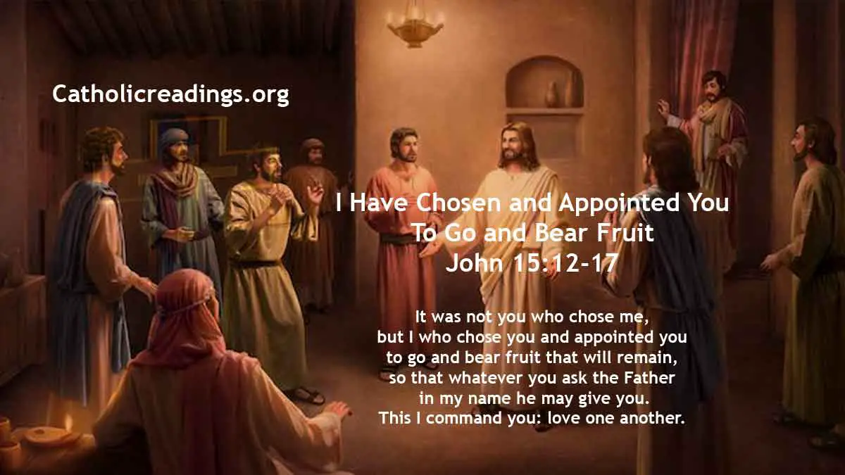 I Have Chosen and Appointed You To Go and Bear Fruit - John 15:12-17 ...