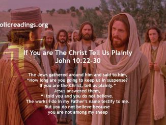 If You are The Christ Tell Us Plainly - John 10:22-30 - Bible Verse of the Day
