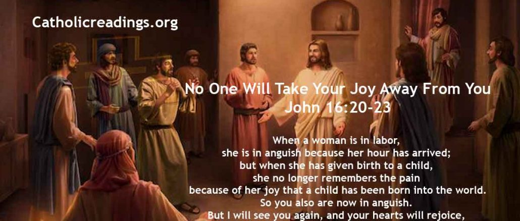 No One Will Take Your Joy Away From You - John 16:20-23 - Bible Verse of the Day