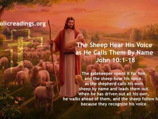 The Sheep Hear His Voice as He Calls Them By Name - John 10:1-18 - Bible Verse of the Day