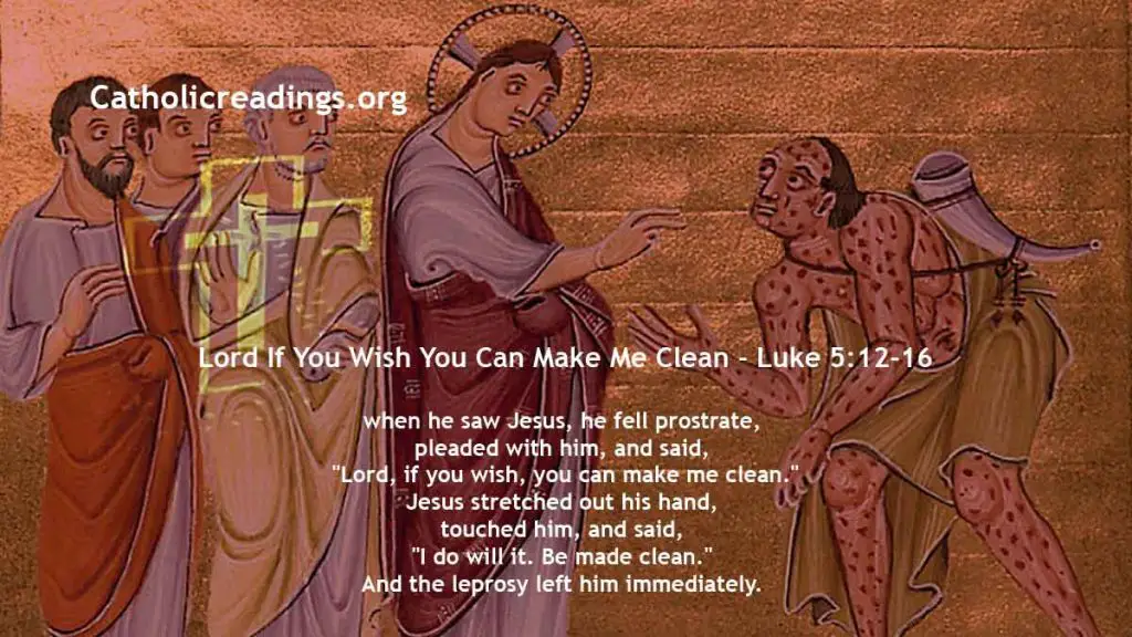 Lord If You Wish You Can Make Me Clean - Matthew 8:1-4, Luke 5:12-16, Mark 1:40-45 - Bible Verse of the Day