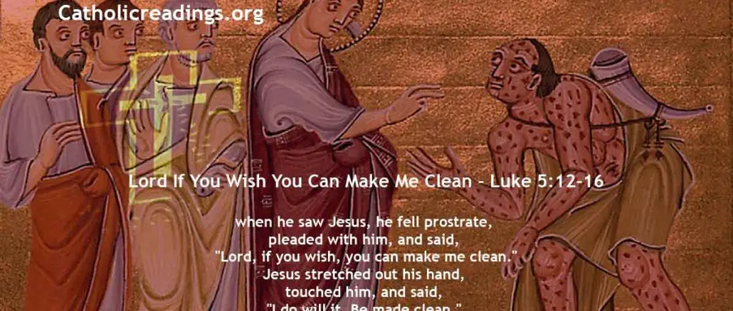 Lord If You Wish You Can Make Me Clean - Matthew 8:1-4, Luke 5:12-16 - Bible Verse of the Day
