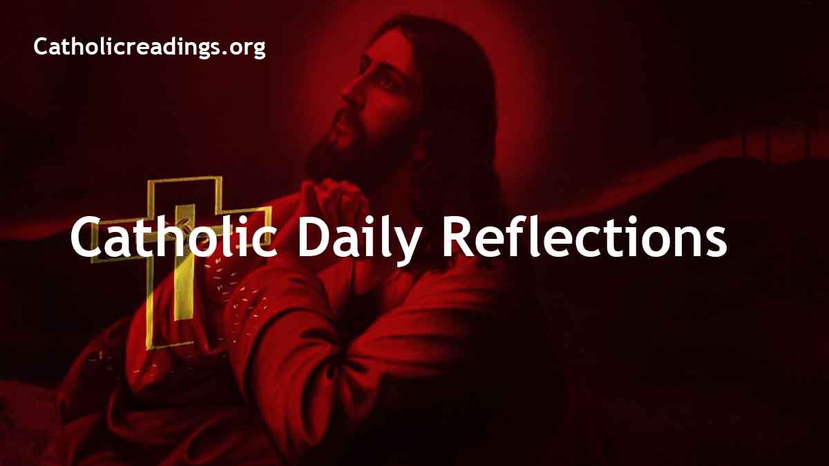 Catholic Daily Reflections and Homily Catholic Daily Reflections