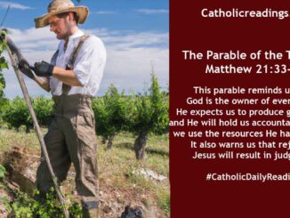 Bible Verse of the Day - The Parable of the Tenants - The landowner who planted a vineyard - Matthew 21:33-46, Mark 12:1-12
