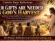 Luke 10:1-12 Reflection: Your Gifts Are Needed in God’s Harvest